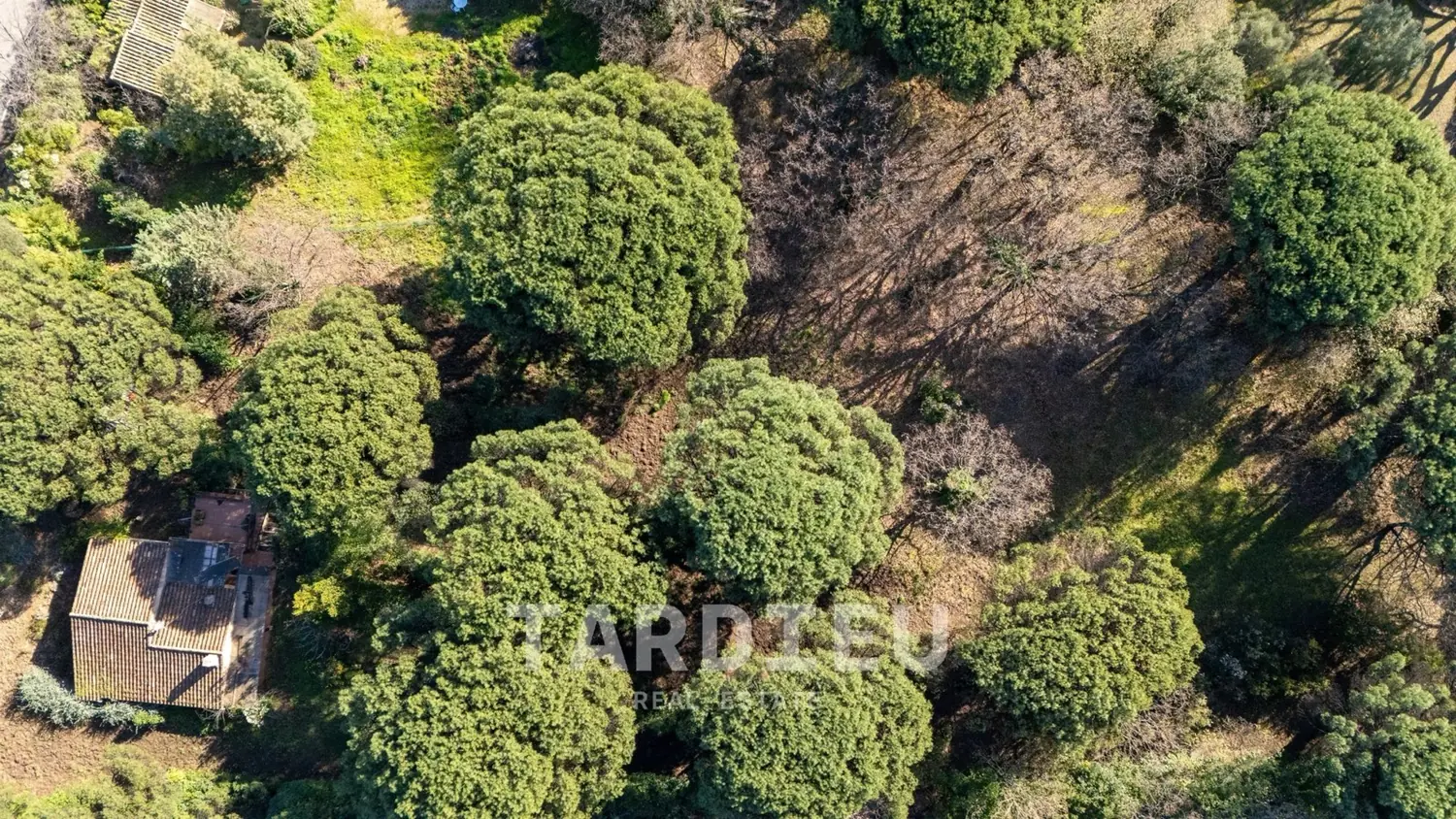 Terrain projet Villa neuve · Ramatuelle