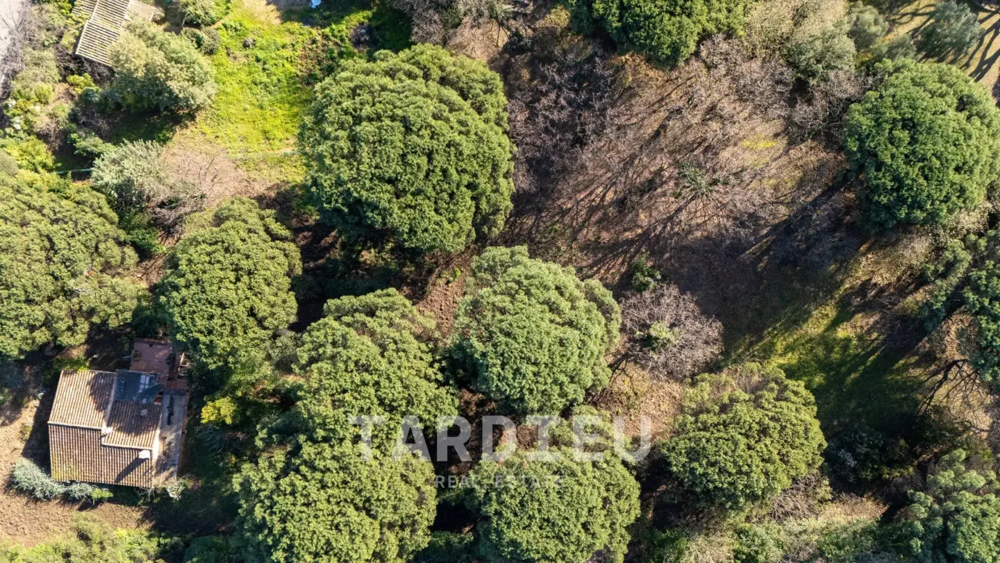 Terrain projet Villa neuve – Ramatuelle